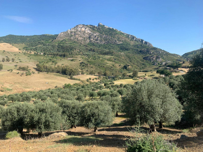 Terreno Agricolo in vendita a Sclafani Bagni