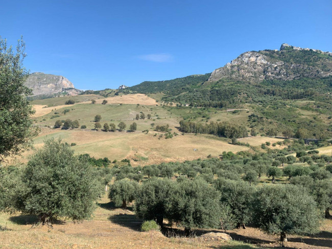 Terreno Agricolo in vendita a Sclafani Bagni