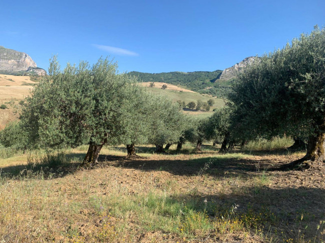 Terreno Agricolo in vendita a Sclafani Bagni