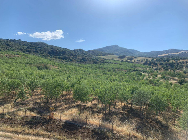 Terreno Agricolo in vendita a Sclafani Bagni