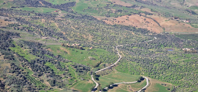 Terreno Agricolo in vendita a Sclafani Bagni