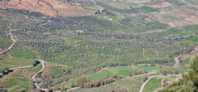 Terreno Agricolo in vendita a Sclafani Bagni