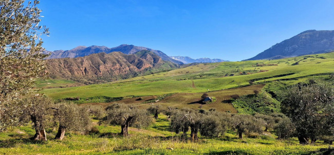 Terreno Agricolo in vendita a Sclafani Bagni