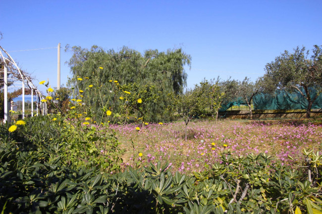 Villa in vendita a Balestrate
