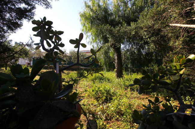 Villa in vendita a Balestrate