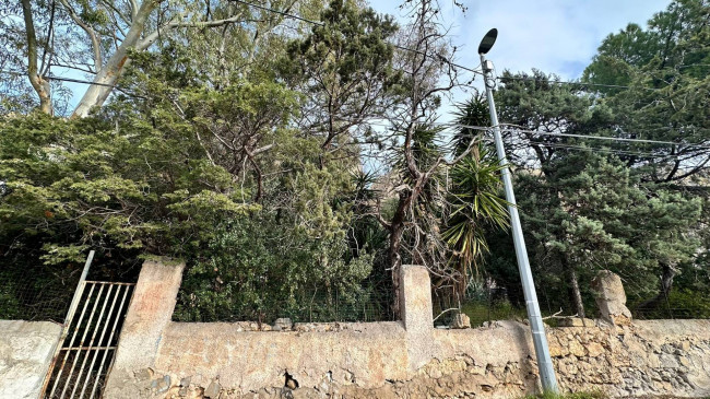 Terreno Agricolo in vendita a Palermo