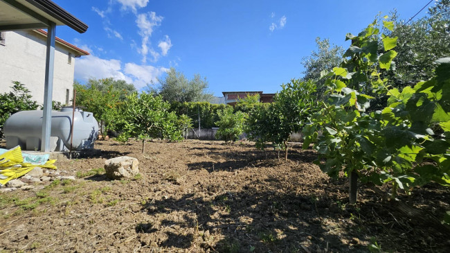 Terreno Agricolo in vendita a Carini