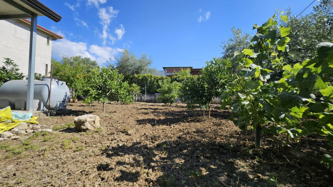 Terreno Agricolo in vendita a Carini