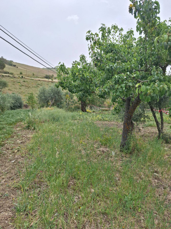 Appartamento in vendita a Petralia Soprana