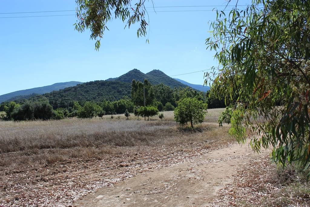 Terreno agricolo in vendita a Castiadas (CI)