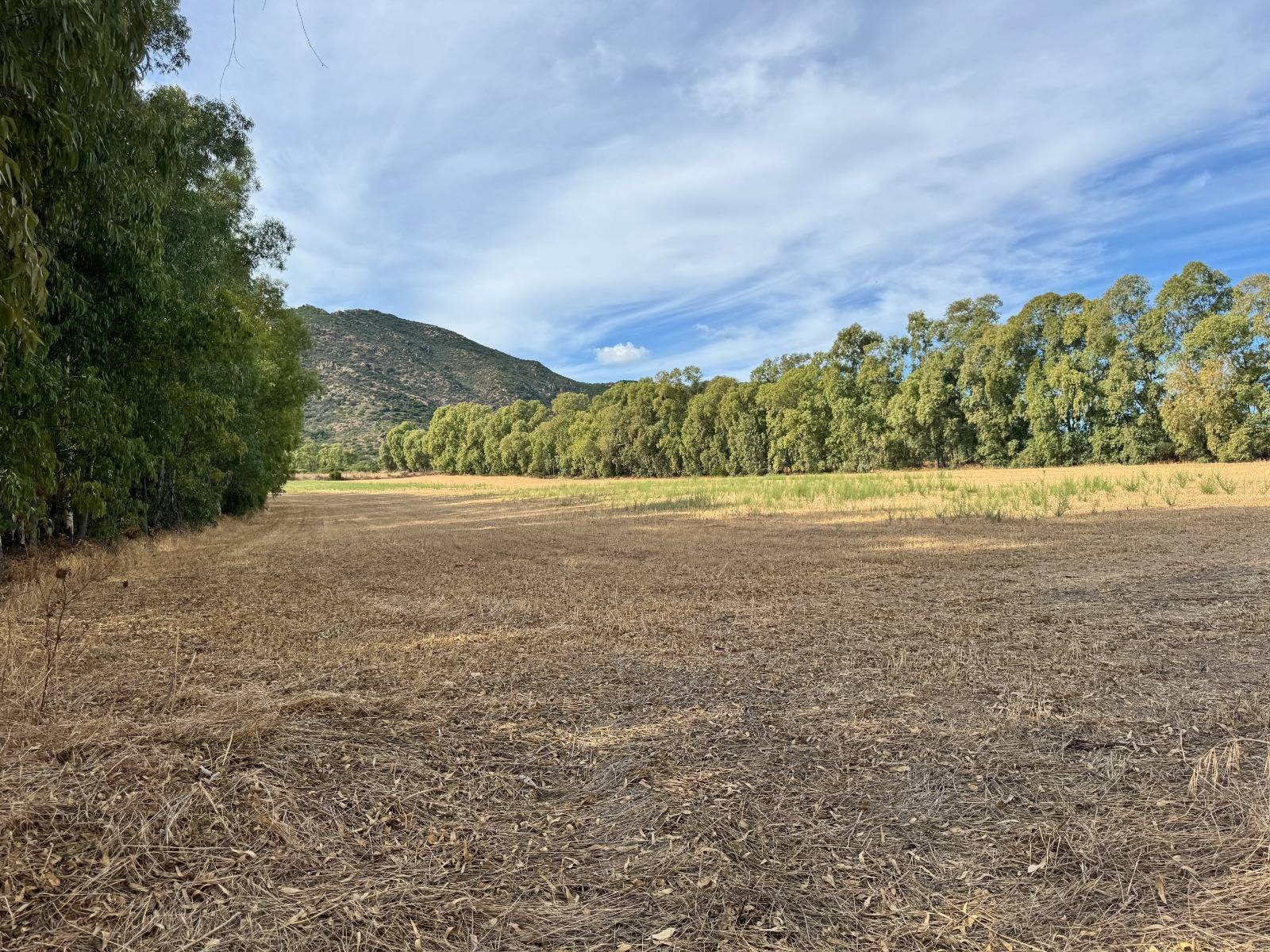 Terreno Agricolo in vendita a San Vito