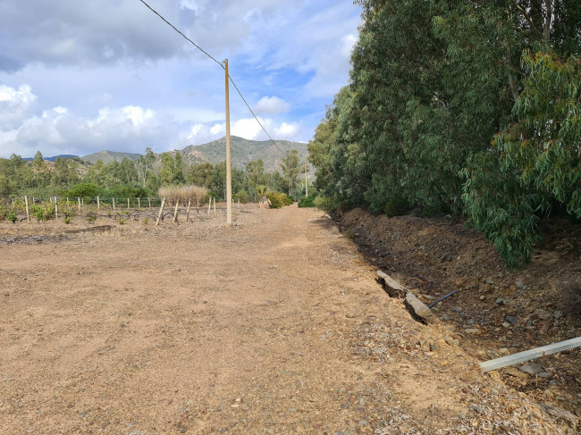 Terreno Agricolo in vendita a San Vito