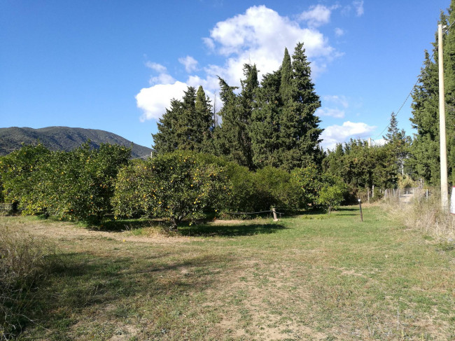 Terreno Agricolo in vendita a San Vito