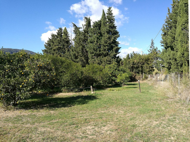 Terreno Agricolo in vendita a San Vito