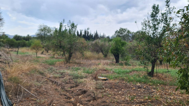 Terreno Agricolo in vendita a San Vito