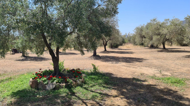 Casa indipendente in vendita a San Vito (CI)