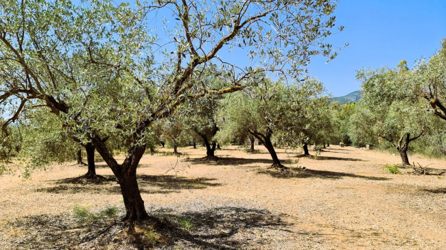 Casa indipendente in vendita a San Vito (CI)