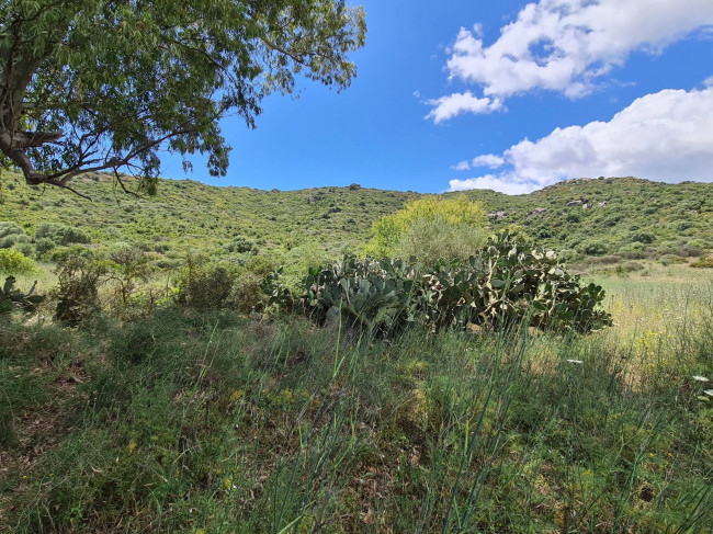 Rustico in vendita a Muravera (CI)