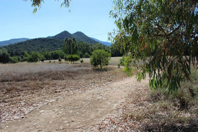 Terreno agricolo in vendita a Castiadas (CI)