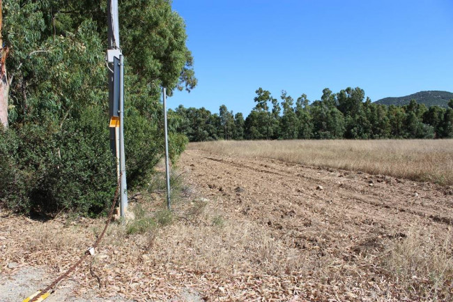 Terreno agricolo in vendita a Castiadas (CI)