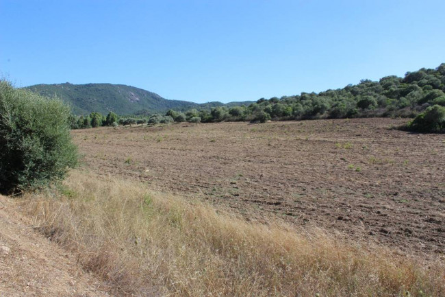 Terreno agricolo in vendita a Castiadas (CI)