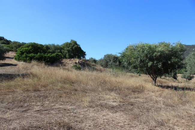 Terreno agricolo in vendita a Castiadas (CI)