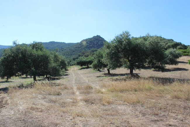 Terreno agricolo in vendita a Castiadas (CI)