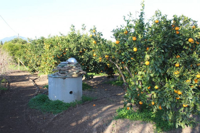 Terreno agricolo in vendita a Muravera (CI)