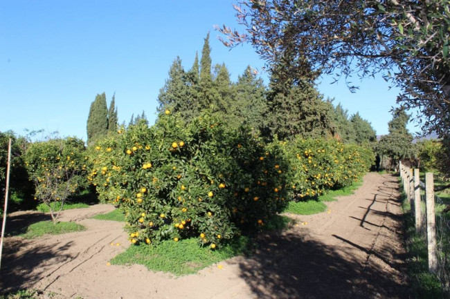 Terreno agricolo in vendita a Muravera (CI)