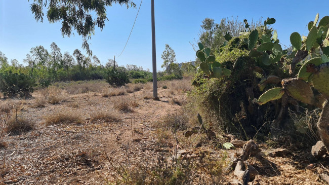 Terreno agricolo in vendita a Muravera (CI)