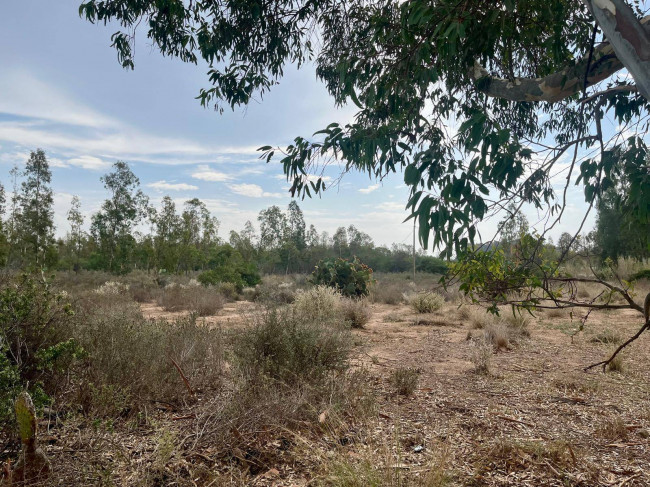 Terreno agricolo in vendita a Muravera (CI)