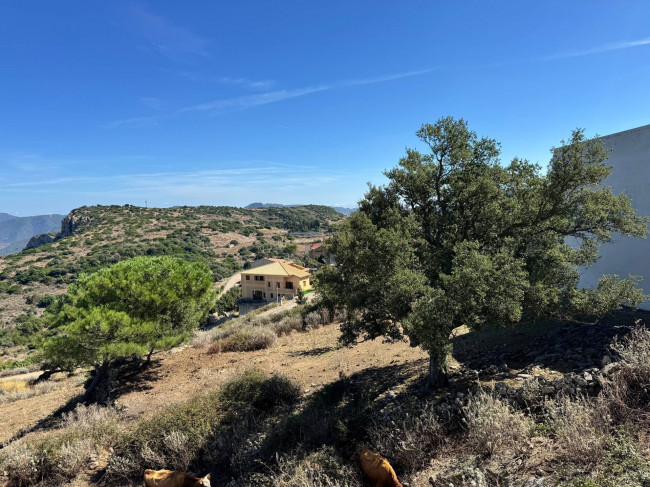 Casa singola in vendita a Villasalto