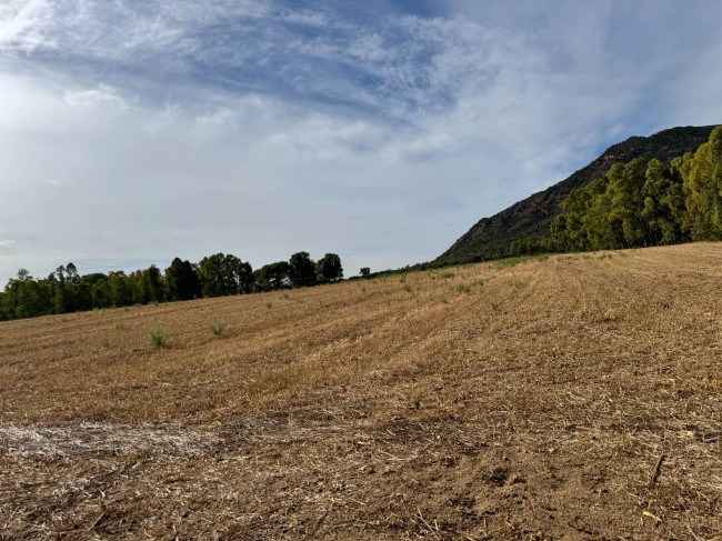 Terreno Agricolo in vendita a San Vito
