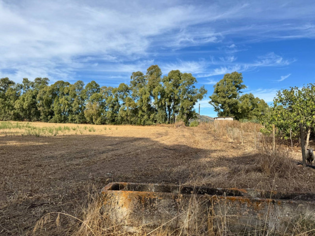 Terreno Agricolo in vendita a San Vito
