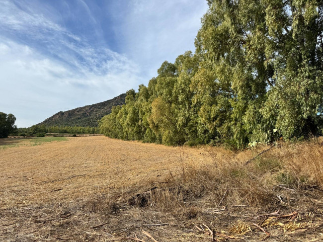 Terreno Agricolo in vendita a San Vito
