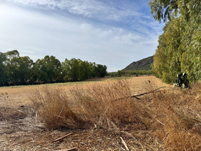 Terreno Agricolo in vendita a San Vito