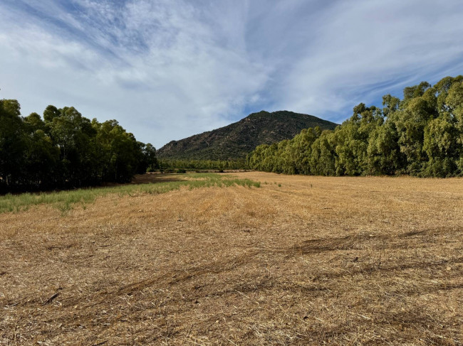 Terreno Agricolo in vendita a San Vito