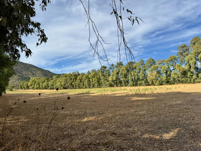 Terreno Agricolo in vendita a San Vito