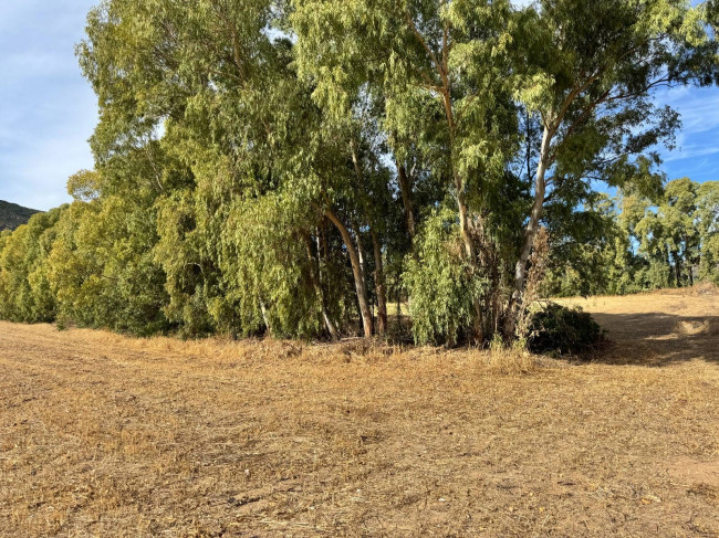 Terreno Agricolo in vendita a San Vito
