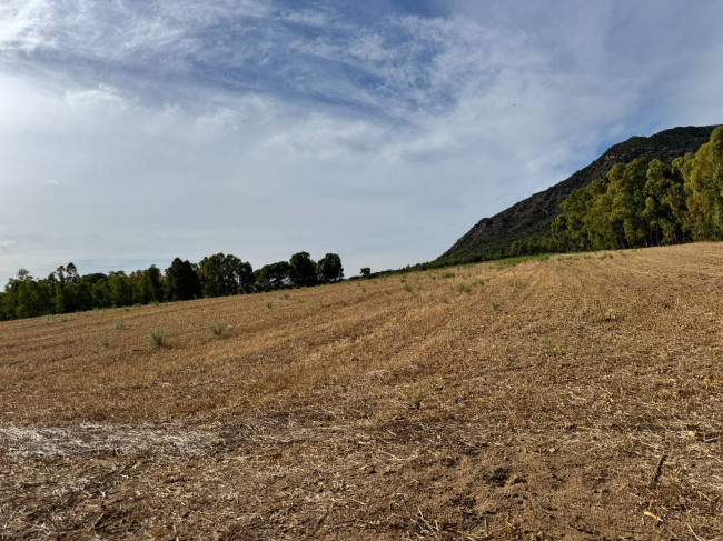 Terreno Agricolo in vendita a San Vito