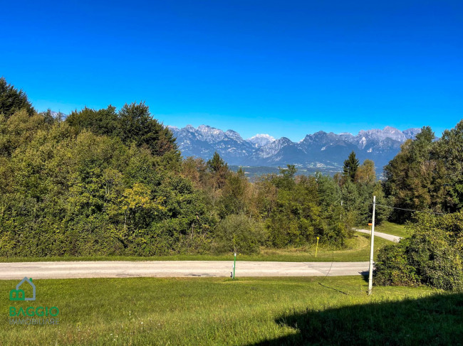 Villa in vendita a Borgo Valbelluna