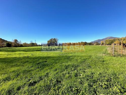 Terreno Agricolo in vendita a Valbrembo