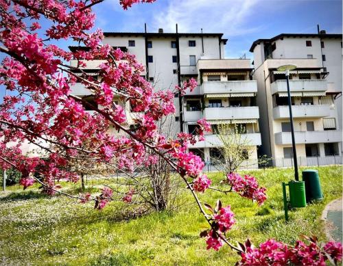 Mansarda in vendita a Parma