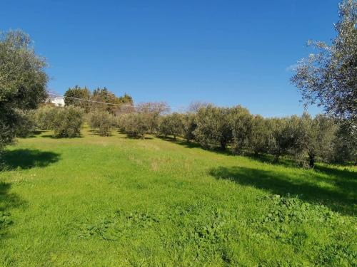 Rustico in vendita a Porto Sant'Elpidio