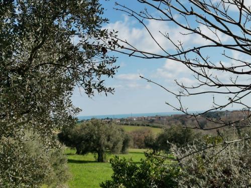 Rustico in vendita a Porto Sant'Elpidio
