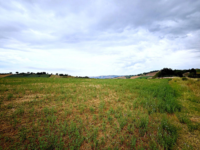 Terreno Agricolo in vendita a Recanati