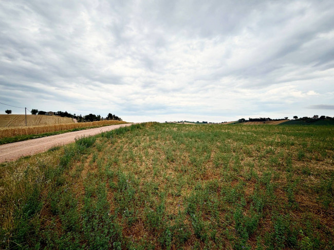 Terreno Agricolo in vendita a Recanati