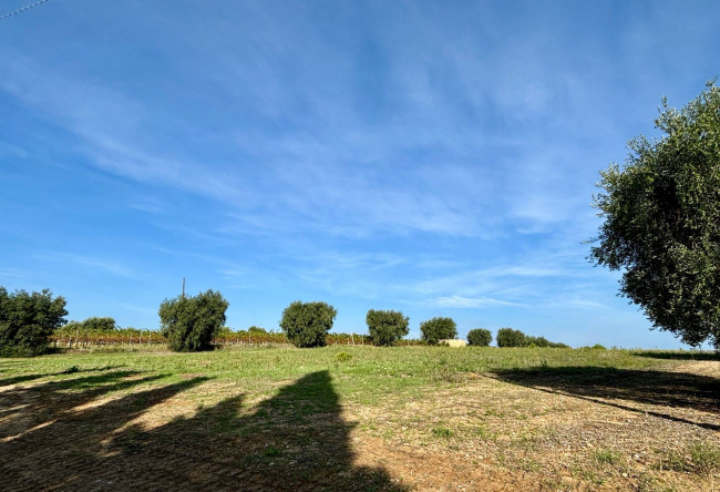 Terreno Agricolo in vendita a Grottammare