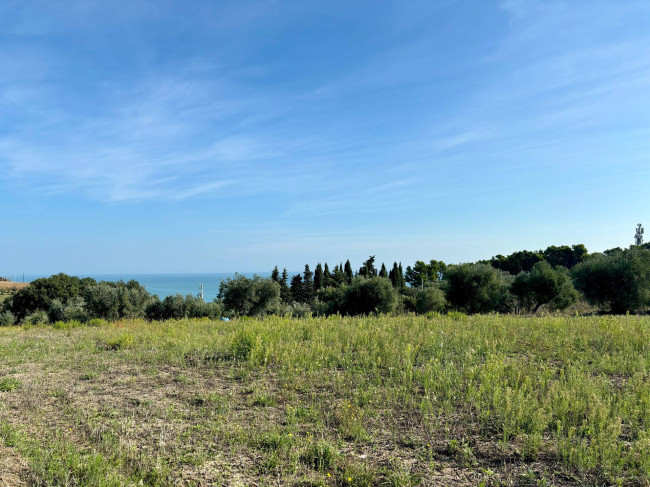 Terreno Agricolo in vendita a Grottammare