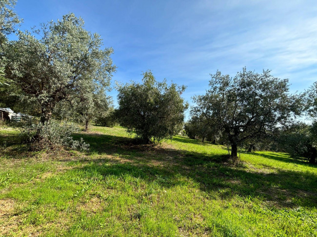 Terreno agricolo in vendita a Grottammare (AP)